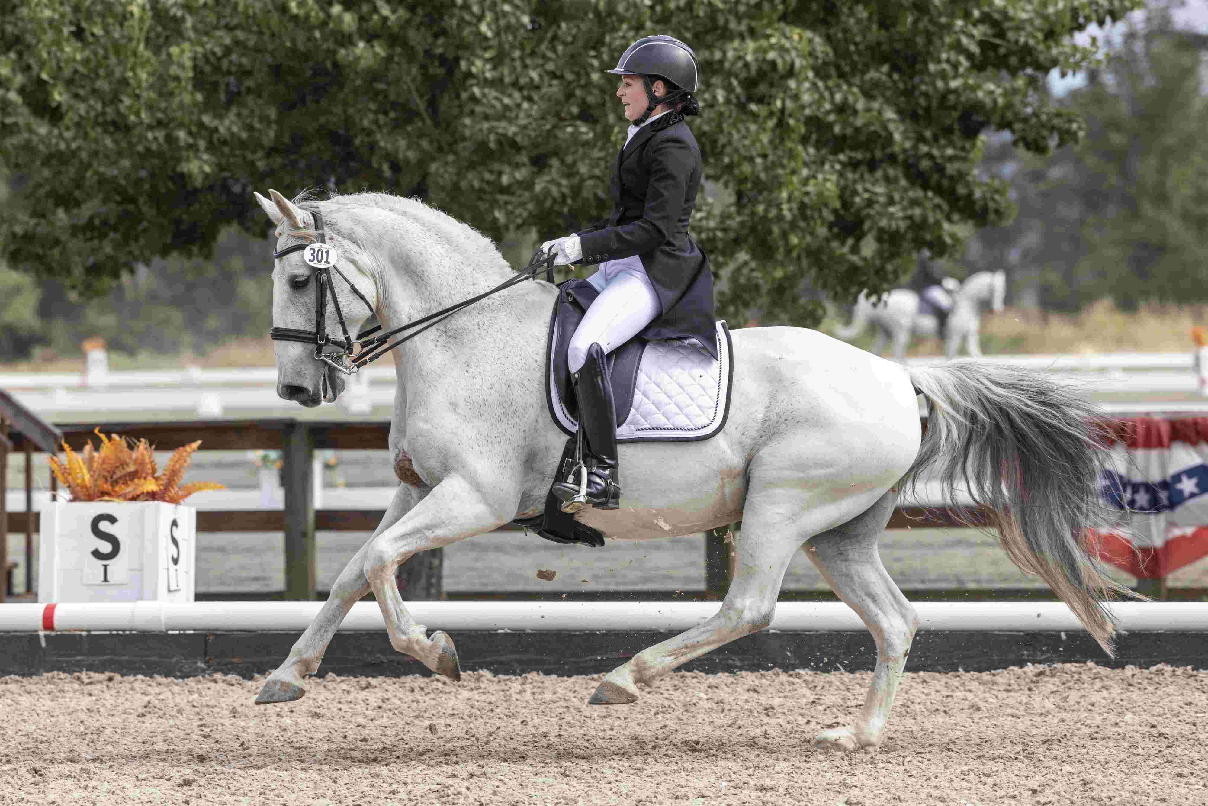 Maestoso II Imperea II