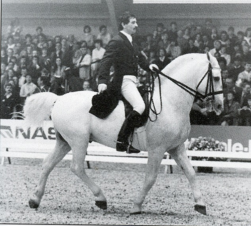 580 Maestoso Monteaura