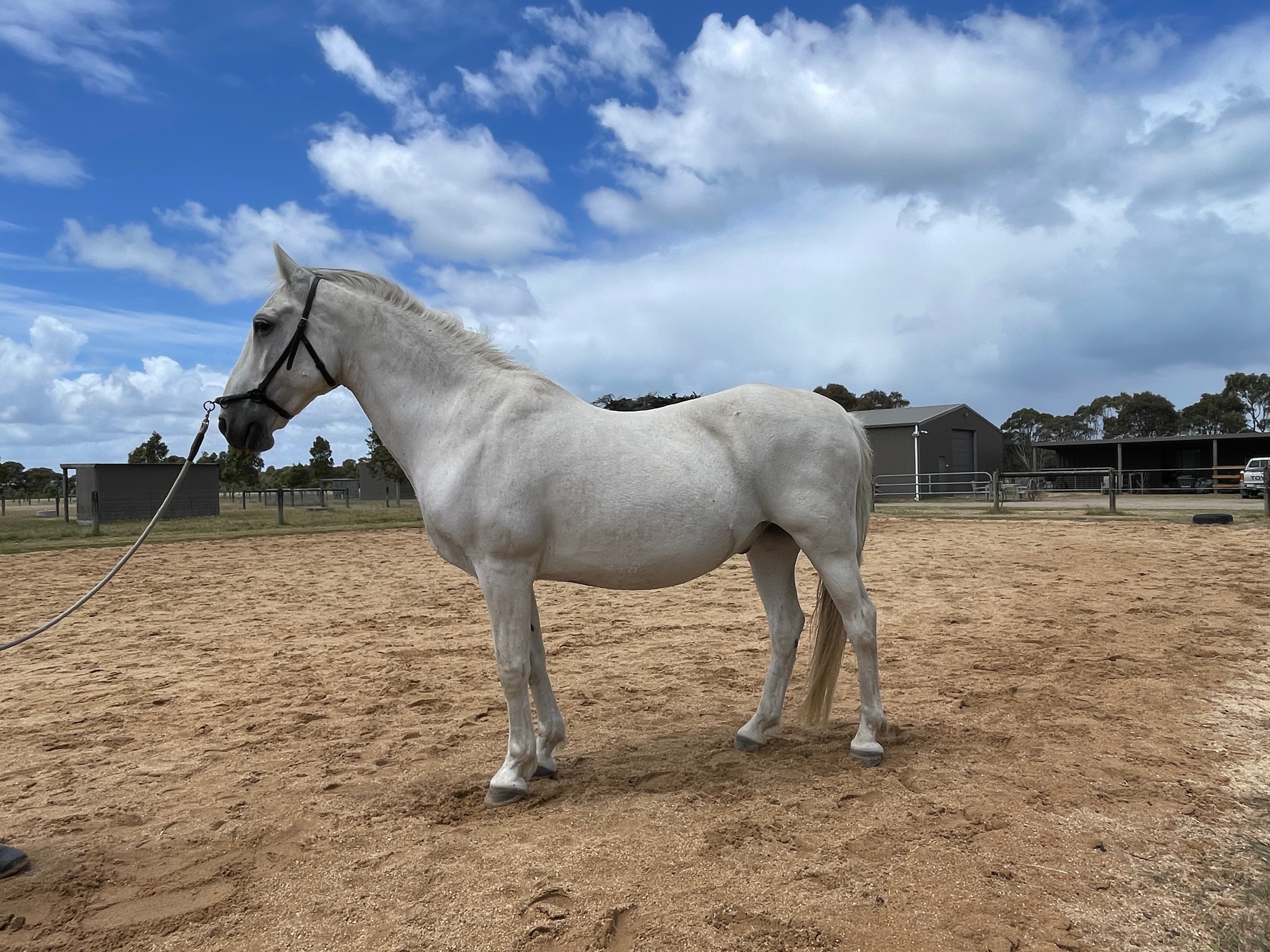 267 Conversano Tural