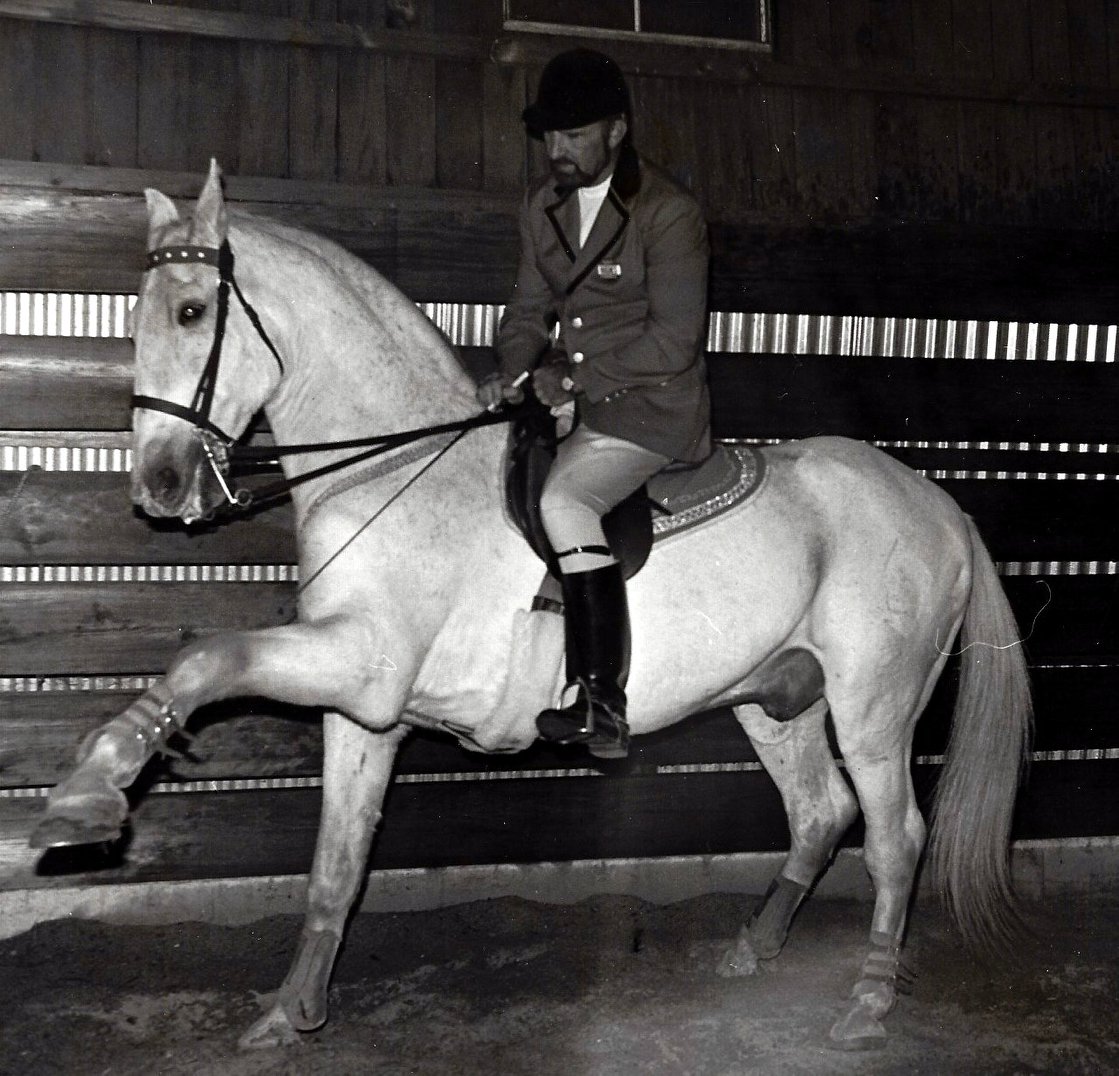 3968 Neapolitano XIII-5