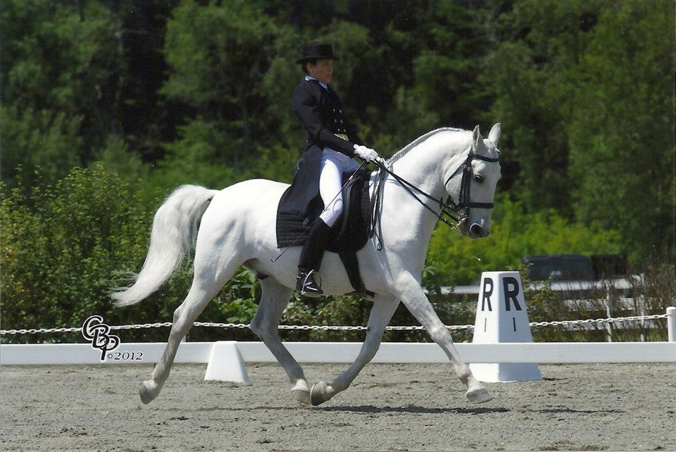 Pluto III Ambrosia II