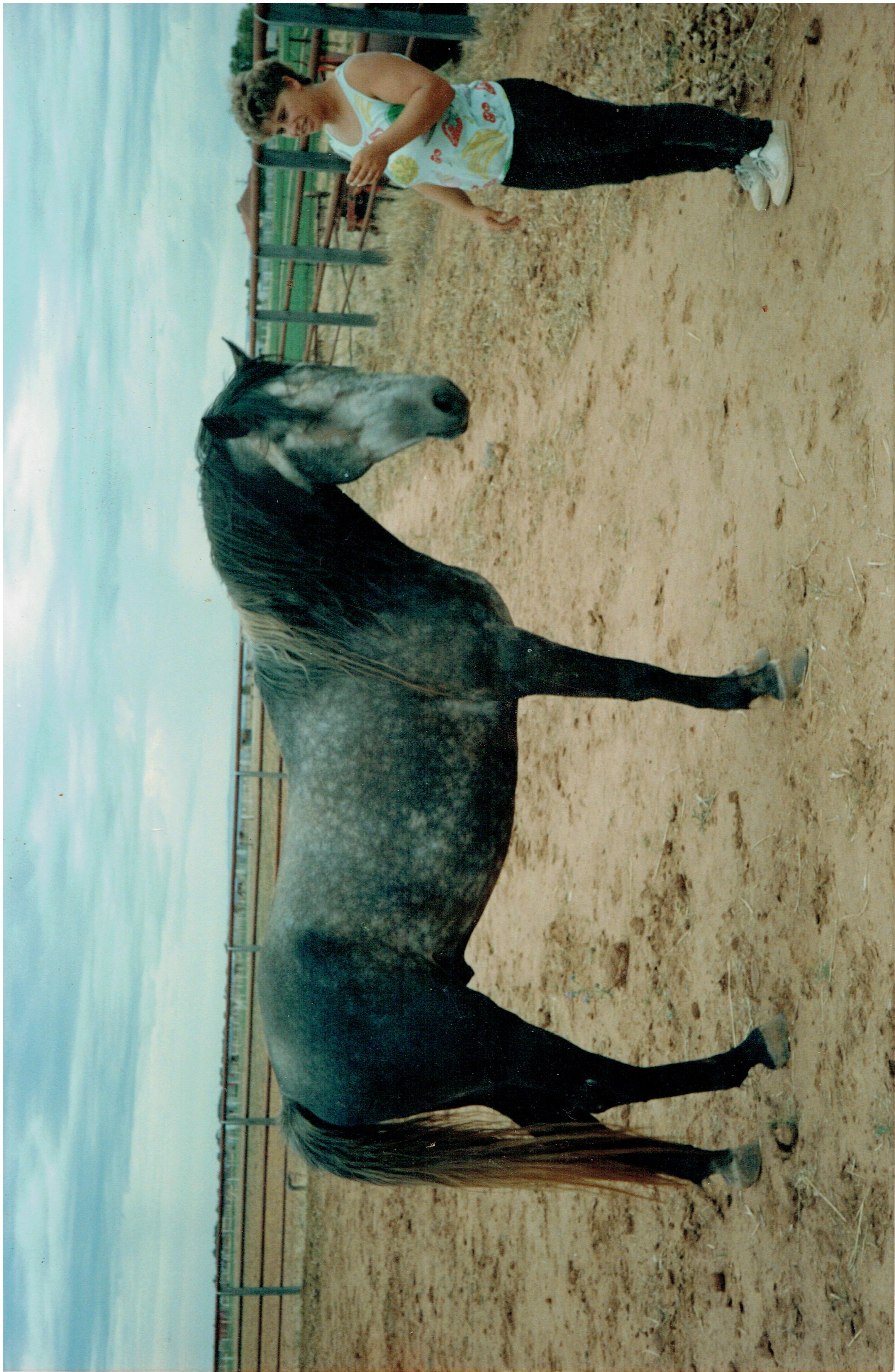 29 Pluto Neapolitano III