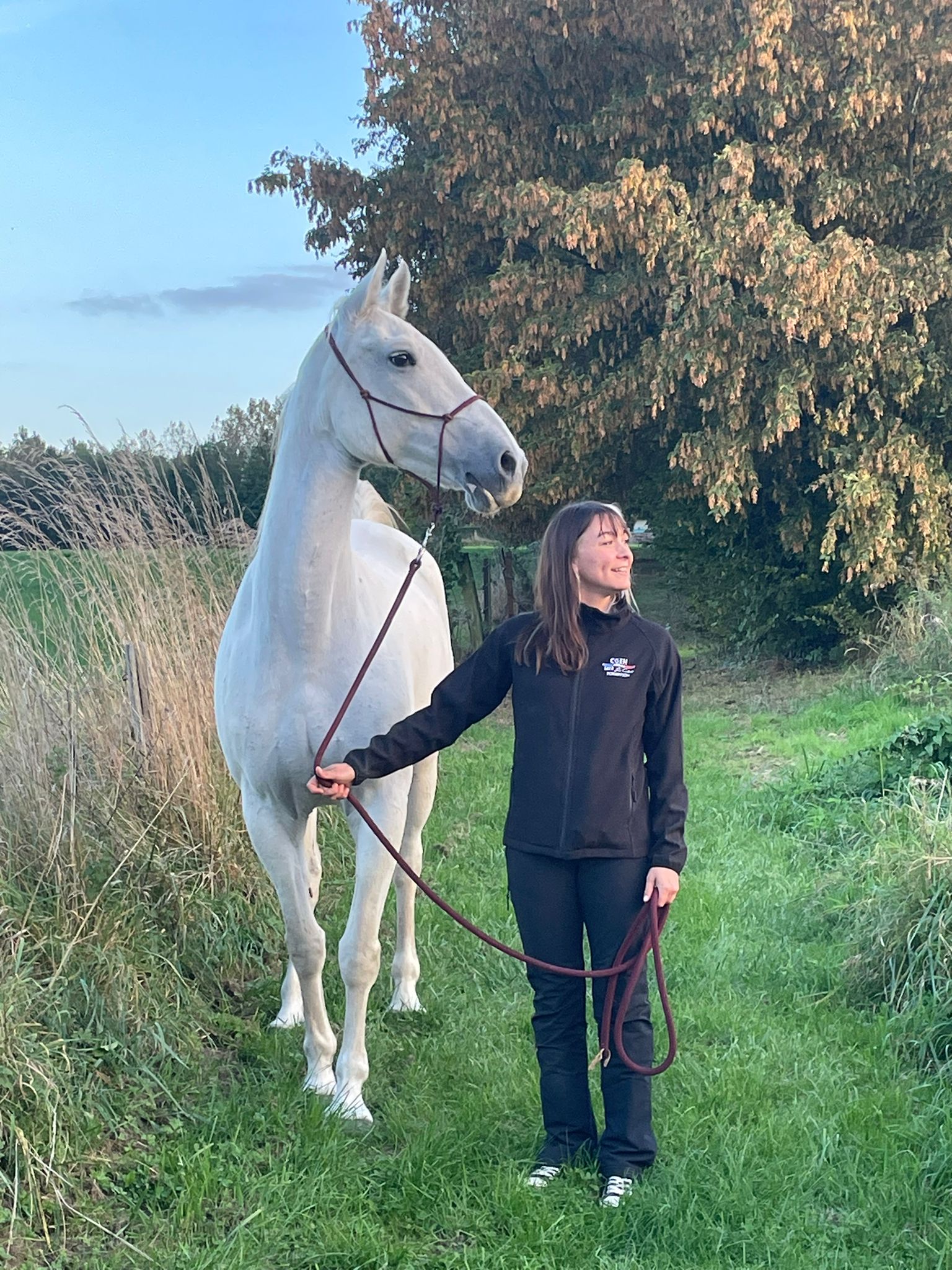 Presciana Neapolitano