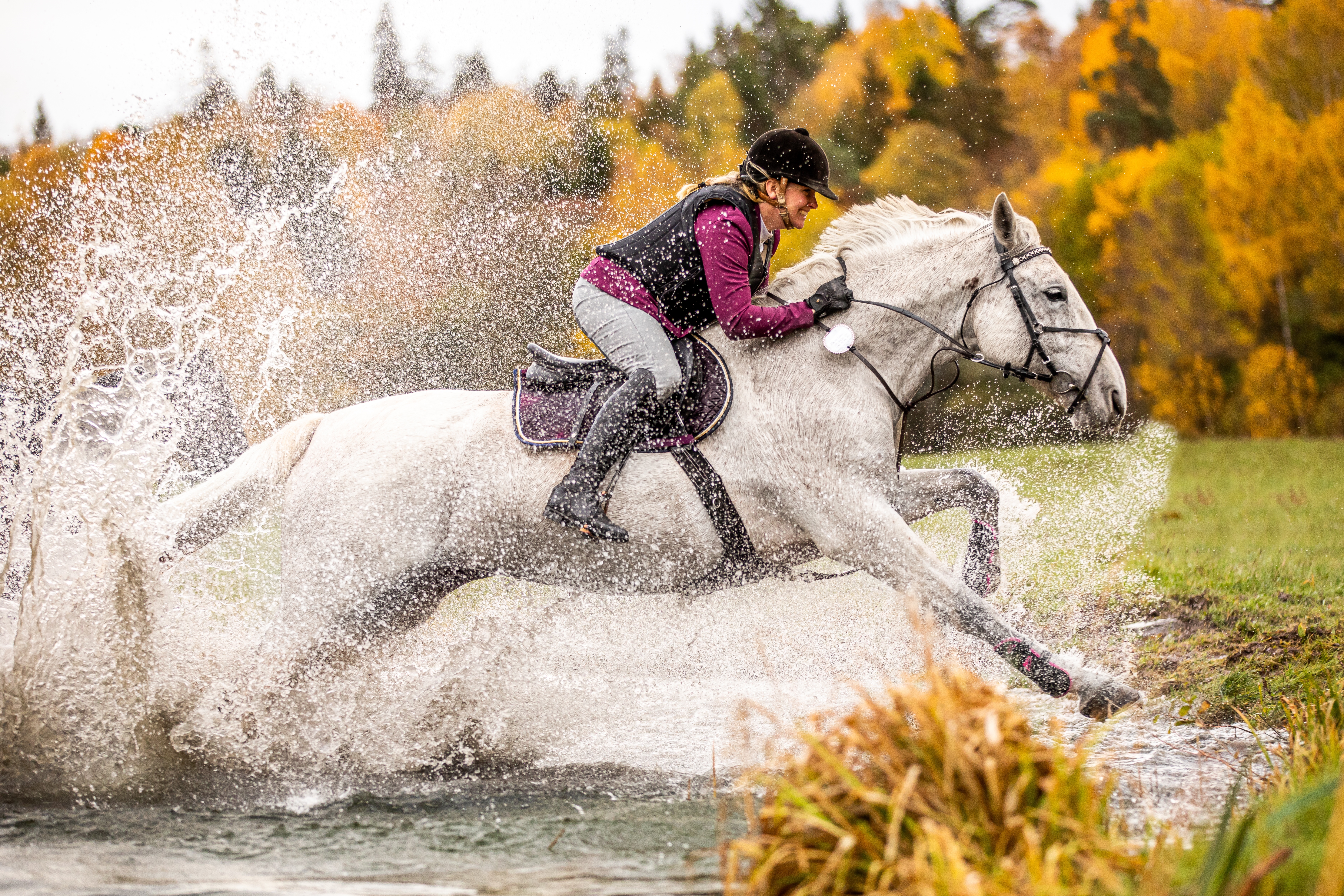 Siglavy Capriola Zara