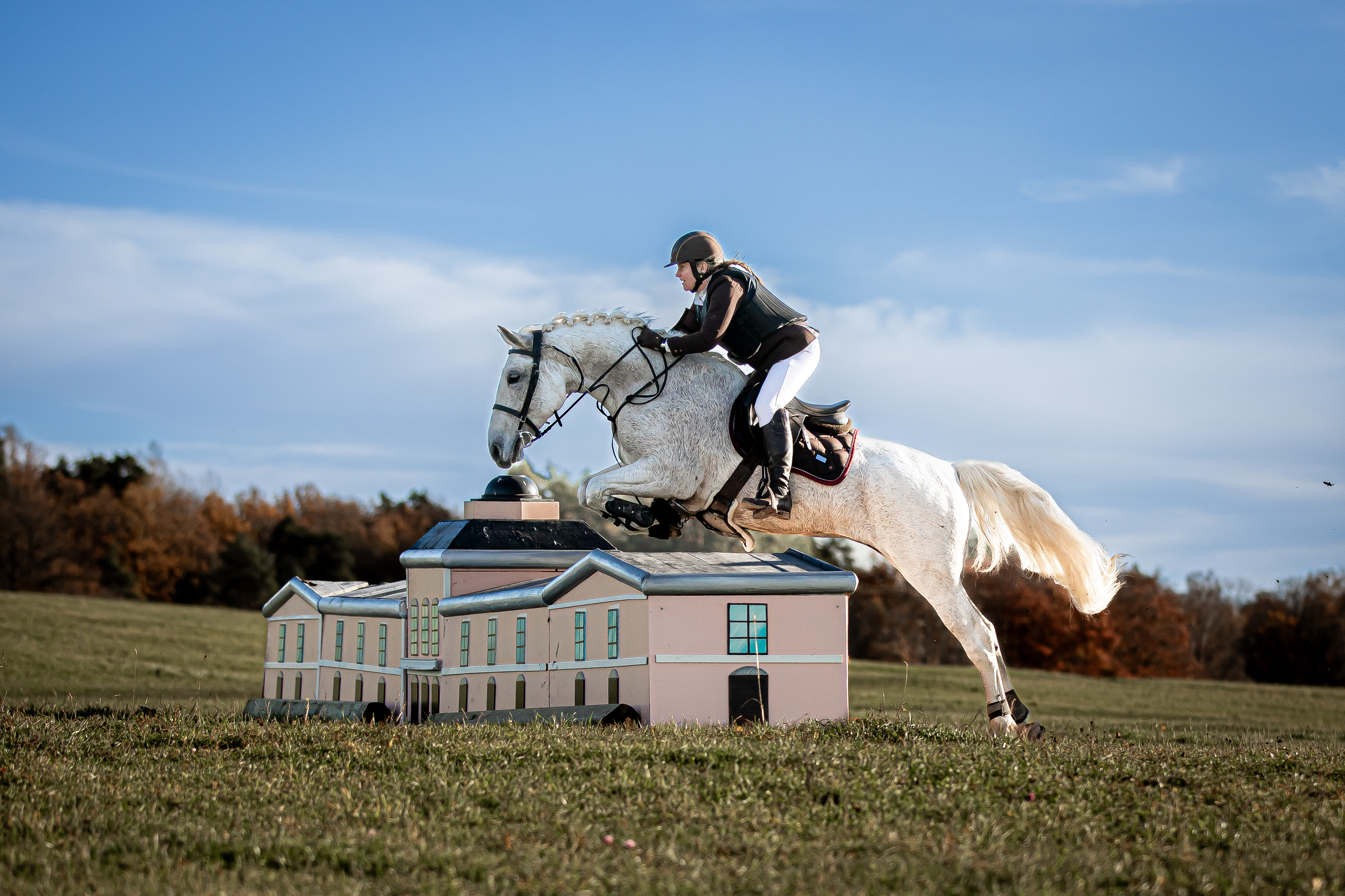 Siglavy Capriola Zara