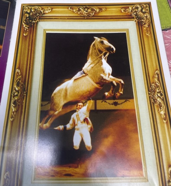 155 Neapolitano Steaka II