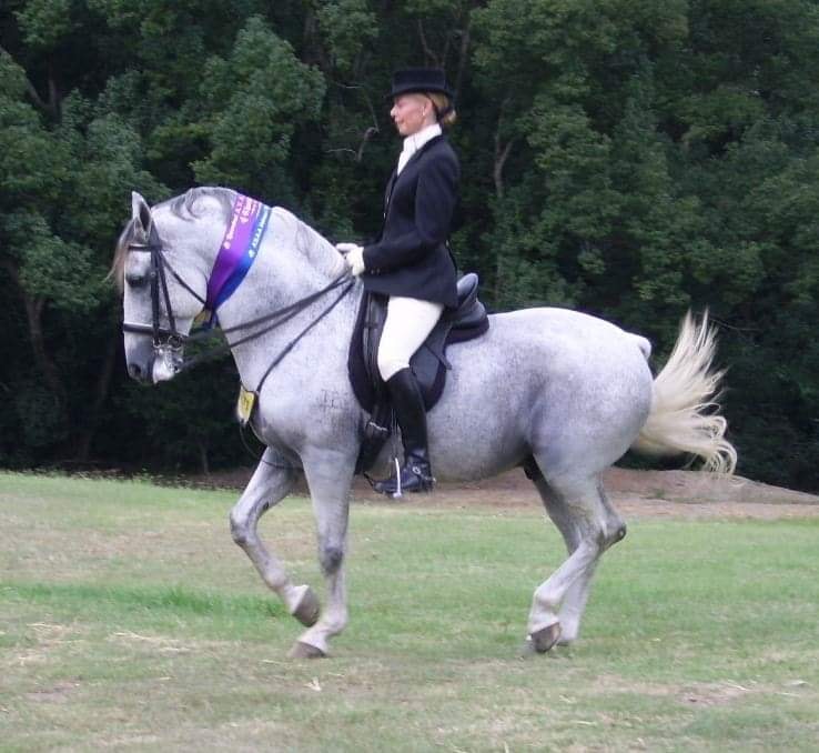 201-166 Pluto Linda I